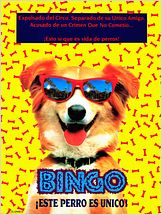 Bingo
