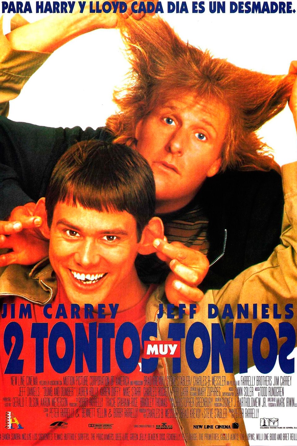 Dos tontos muy tontos - Película 1994 - SensaCine.com - Dos Tontos Aun Mas Tontos Pelicula Completa