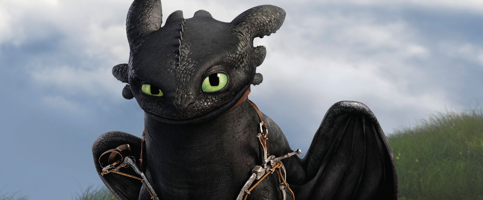 Foto de Cómo entrenar a tu dragón 2 - Foto 7 sobre 22 - SensaCine.com