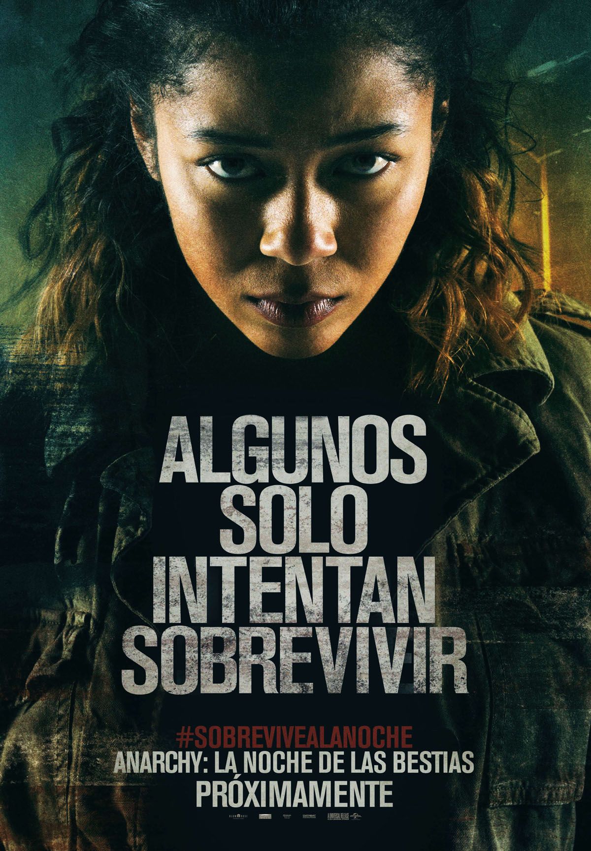 Cartel de la película Anarchy La noche de las bestias Foto 7 por un