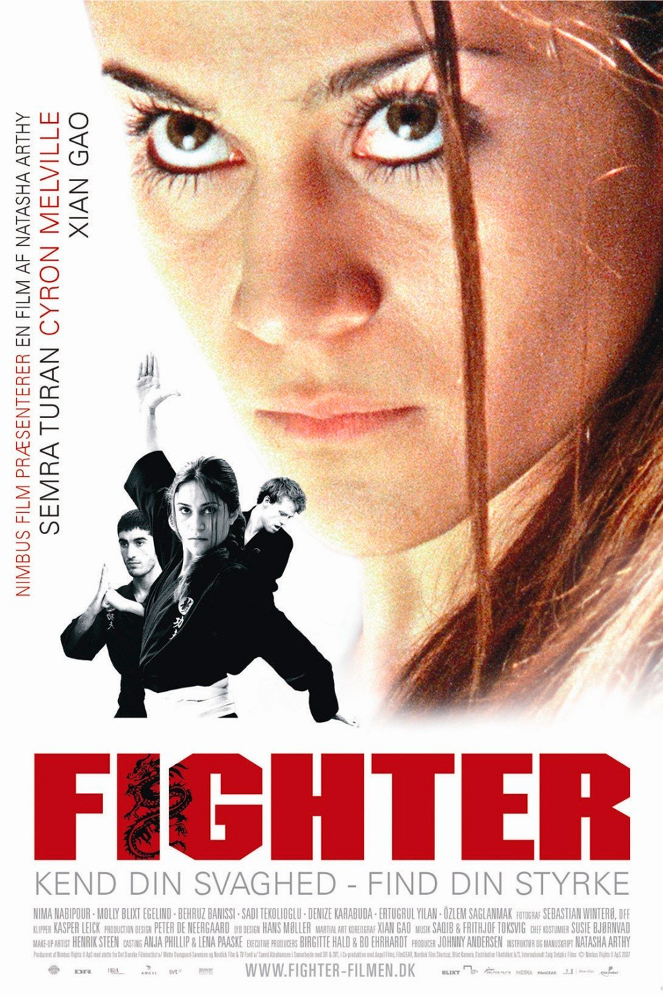 kung fu fighter (2007)