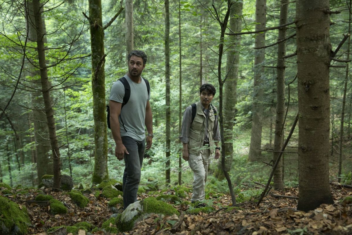 Foto De El Bosque De Los Suicidios Foto Sobre Sensacine