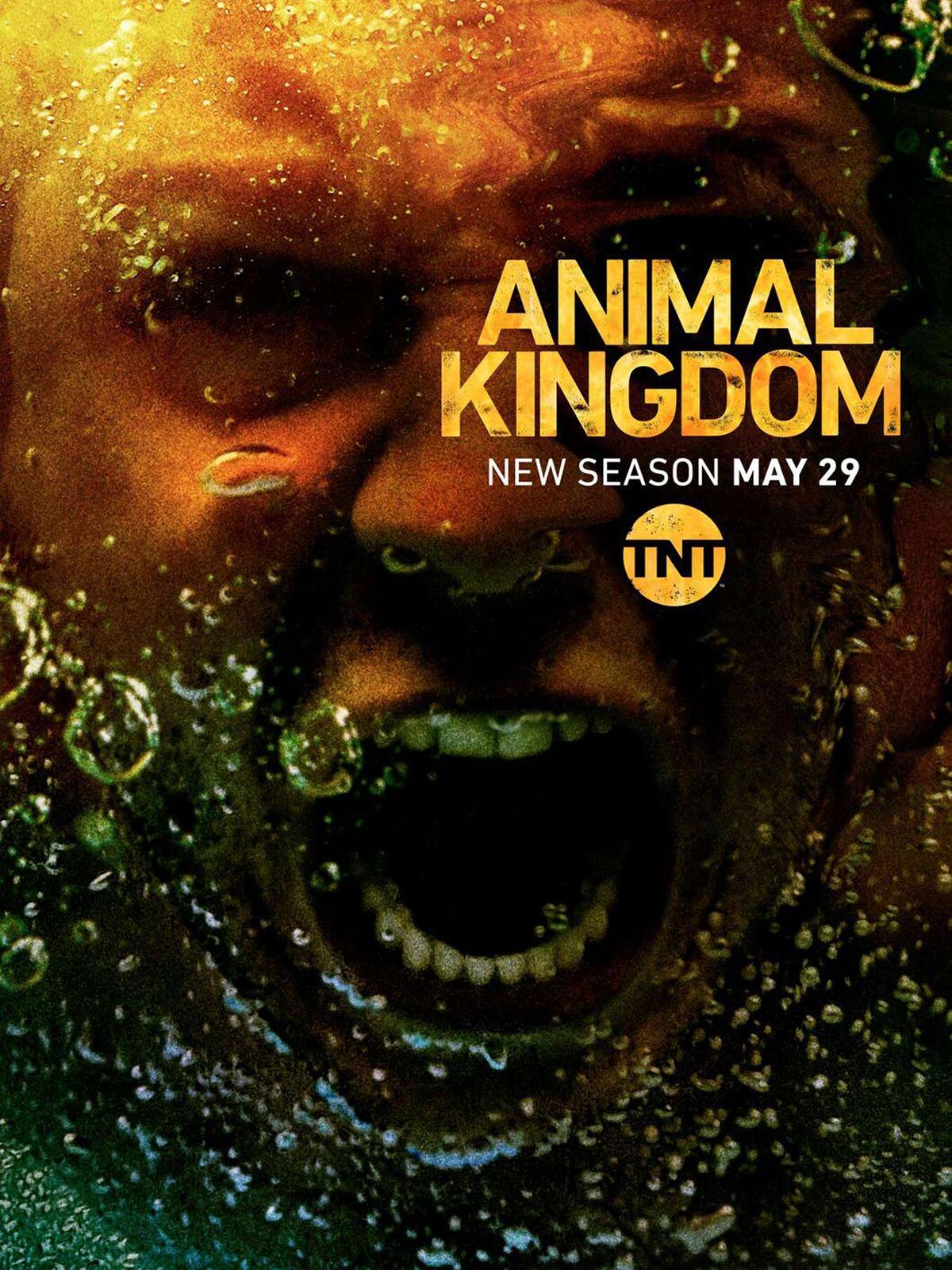 Animal Kingdom Temporada 3 - SensaCine.com