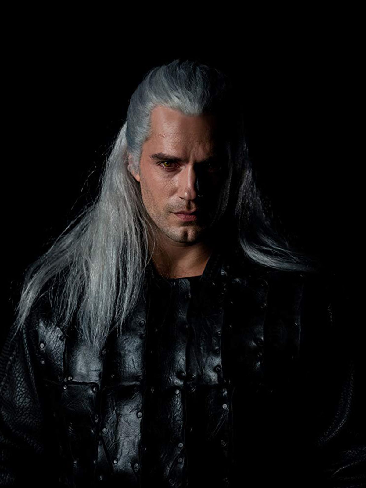 the witcher serie