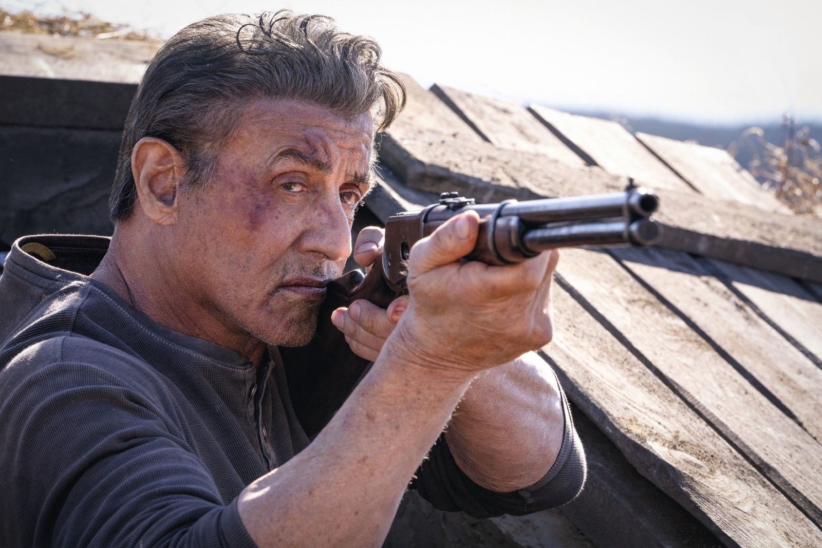 Foto de Sylvester Stallone - Rambo: Last Blood : Foto Sylvester - Ver Peliculas De Sylvester Stallone Gratis