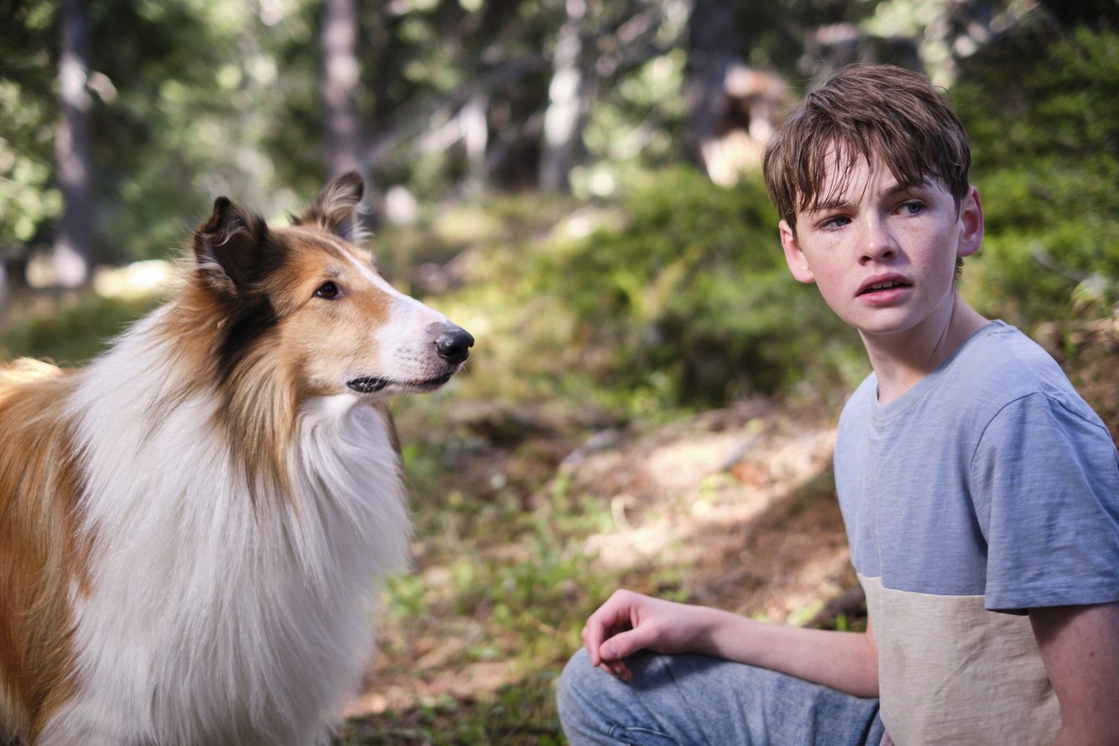 Foto de la película Lassie Una nueva aventura Foto 8 por un total