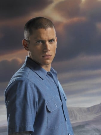 wentworth miller prison break season 1