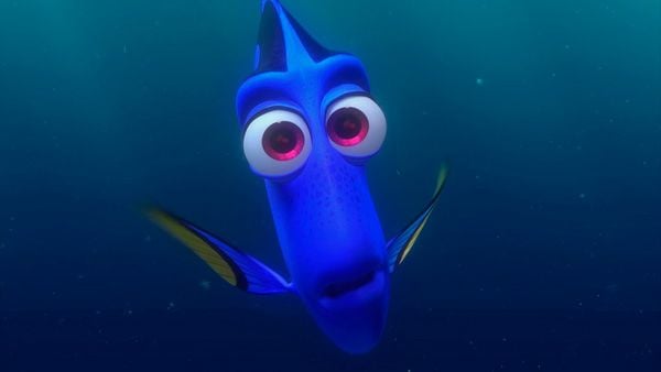 Dory