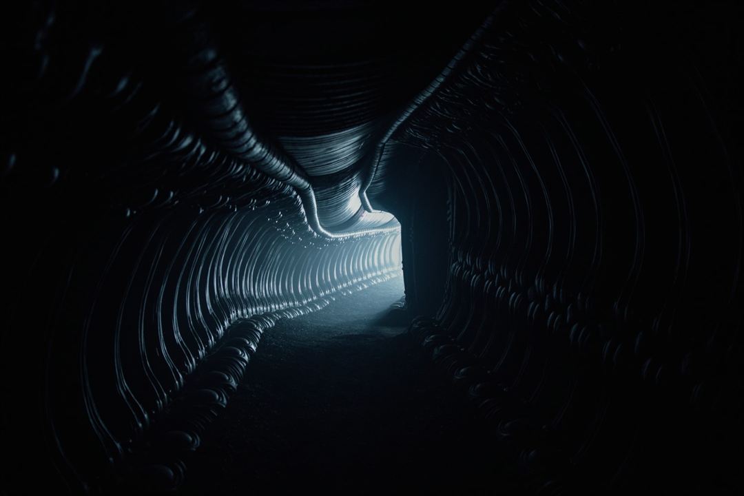 Alien: Covenant : Foto