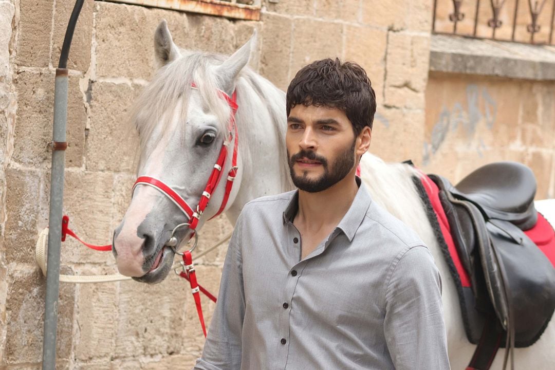 Hercai: Foto - 17 Sobre Un Total De 77 - SensaCine.com