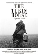 The Turin horse The Turin horse