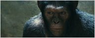 Tráiler e imágenes de 'Rise of the Planet of the Apes'