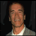 Kickinger sustituirá a Schwarzenegger