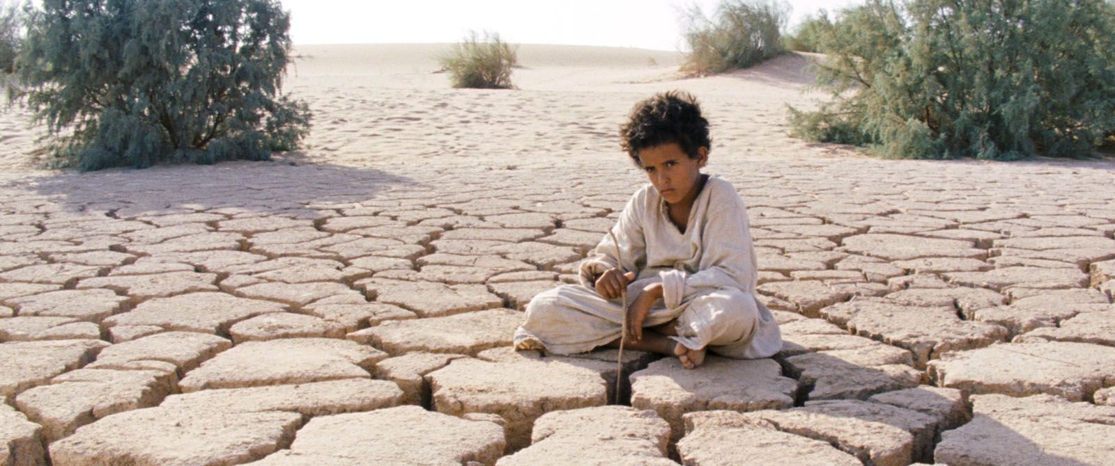 Jacir Eid Al-Hwietat en Lobo