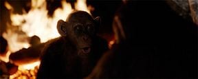 'La guerra del Planeta de los Simios': Simio Malo, protagonista del nuevo tráiler en castellano de la película 'La guerra del Planeta de los Simios': Simio Malo, protagonista del nuevo tráiler en castellano de la película