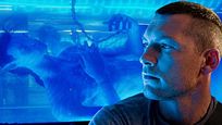 Chris Evans y Channing Tatum casi protagonizan 'Avatar' Chris Evans y Channing Tatum casi protagonizan 'Avatar'