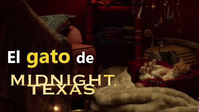 El gato de Midnight, Texas