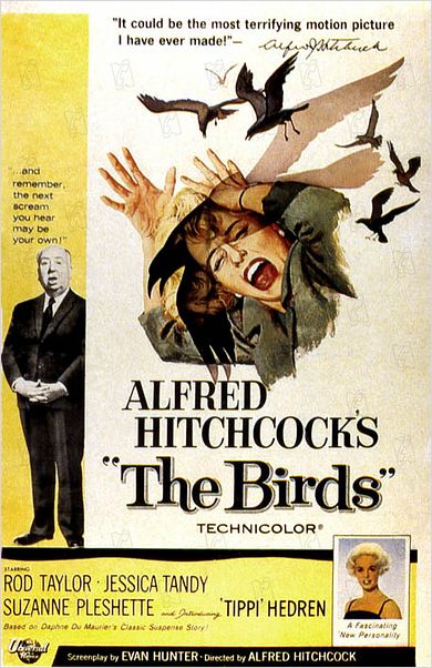 Los pájaros : foto Alfred Hitchcock