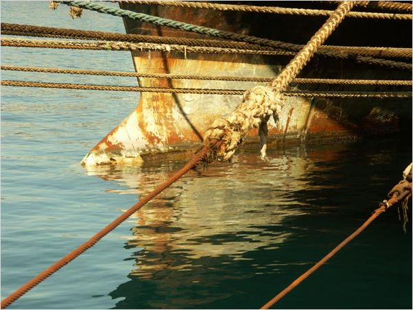 Anclados : foto