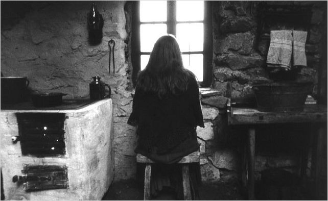 The Turin horse : foto