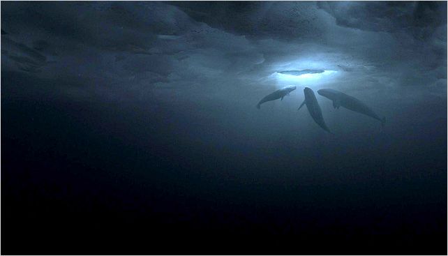 Una aventura extraordinaria : foto
