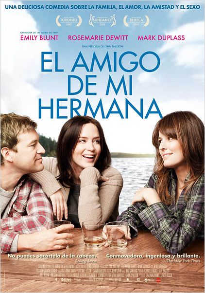 El amigo de mi hermana : cartel