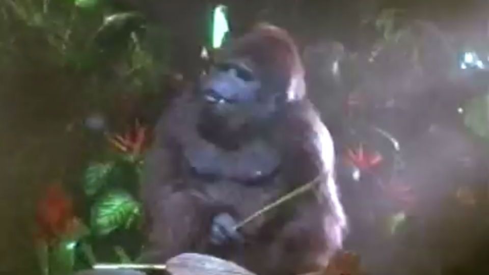 de la Jungla Tráiler VO de la Jungla Tráiler VO
