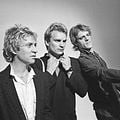 Foto  Sting