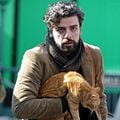 Foto Oscar Isaac