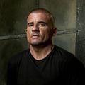 Foto Dominic Purcell