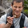 Foto Bear Grylls