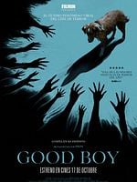 Cartel de Good Boy