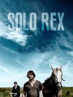 Cartel de Solo Rex