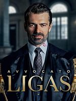 imagen de Ligas