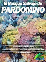 Cartel de El bosque salvaje de Pardomino