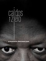 Cartel de Caídos del zielo