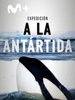 Cartel de Expedición a la Antártida