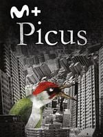 Cartel de Picus