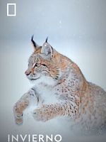 imagen de Expedición salvaje