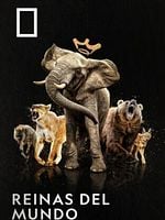 imagen de Reinas del mundo salvaje
