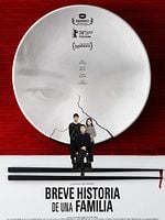 Cartel de Breve historia de una familia