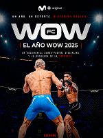 Cartel de El año WOW