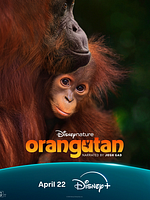 Cartel de Orangutan
