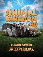 Cartel de Animal Kingdom. La historia de seis familias