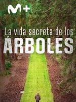 imagen de La vida secreta de los árboles
