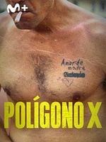 Cartel de Polígono X