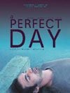 Cartel de A perfect day