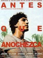 Cartel de Antes que anochezca