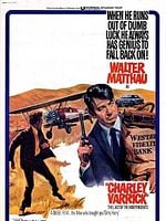 Cartel de La gran estafa