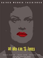 Cartel de Un año con trece lunas
